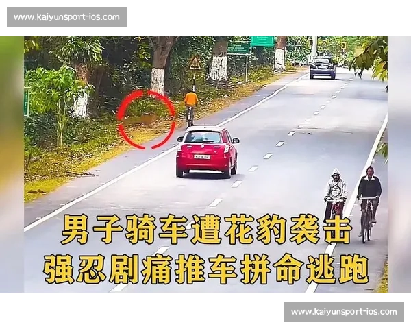 骑行男子路边歇息遇蹊跷:陌生女子强行推车被阻